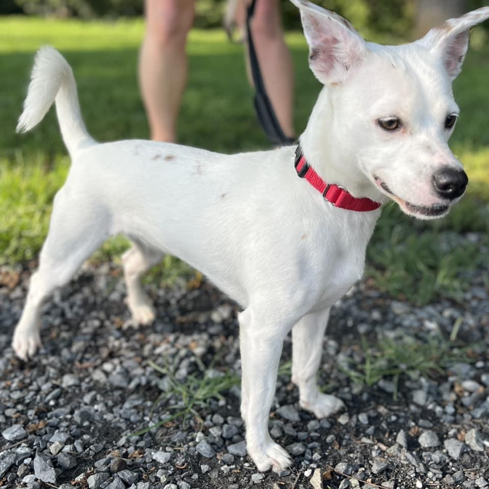 Chloe