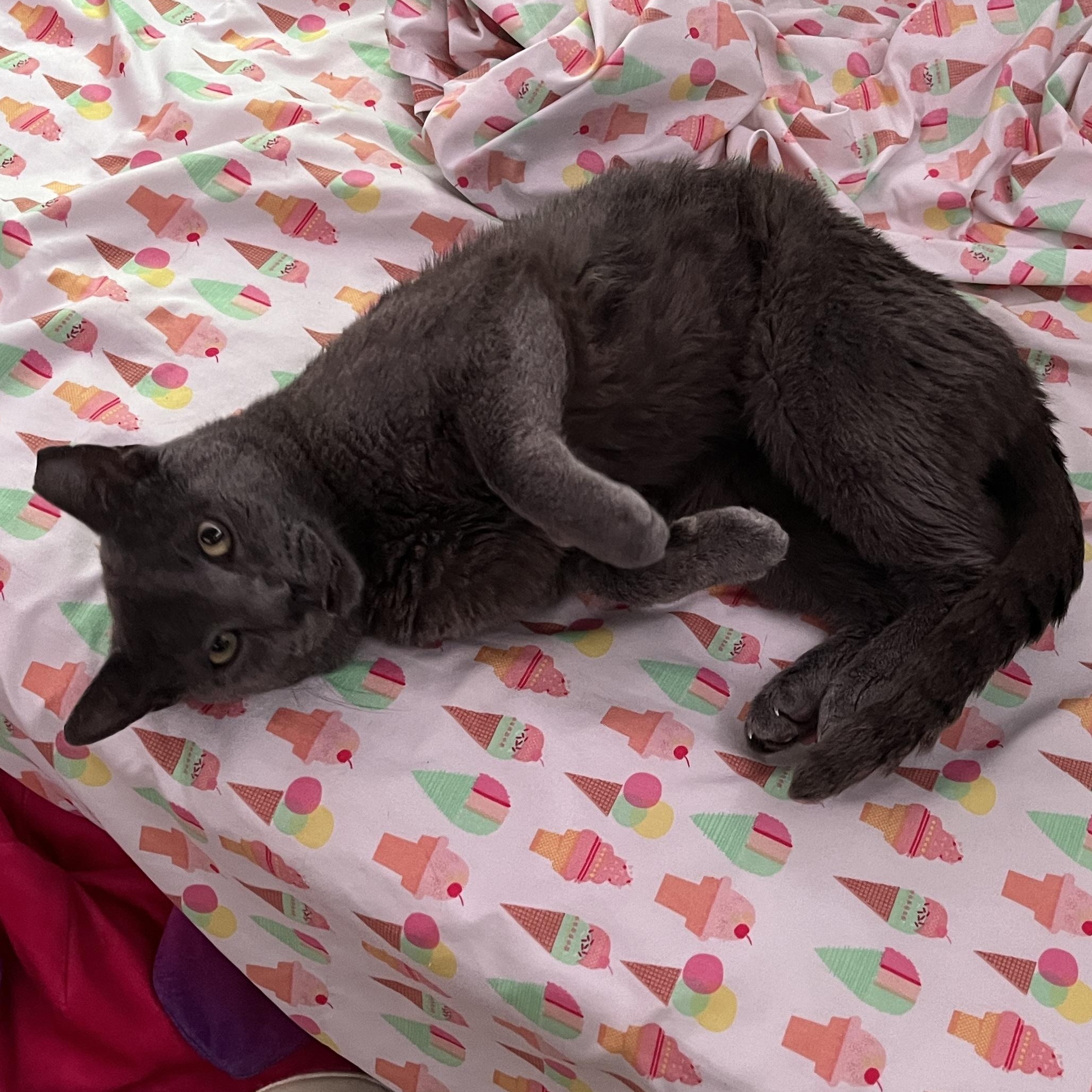 MILO