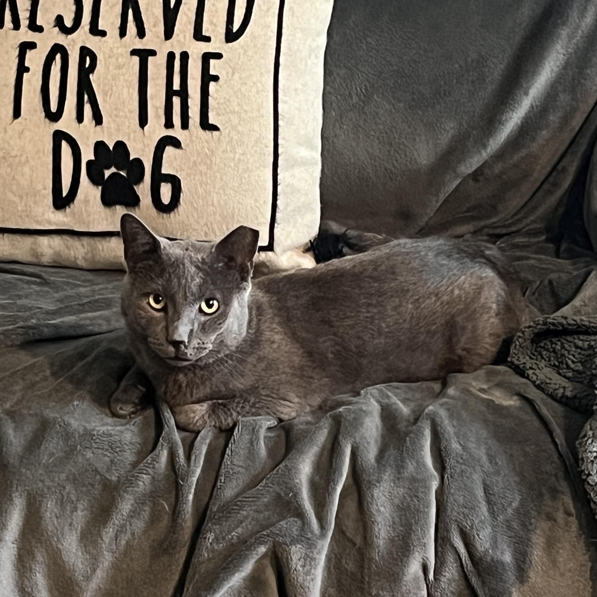 MILO