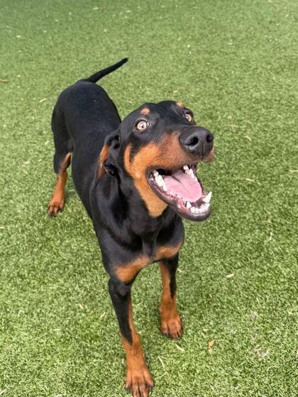 DJ Snackpack — thumbnail 2