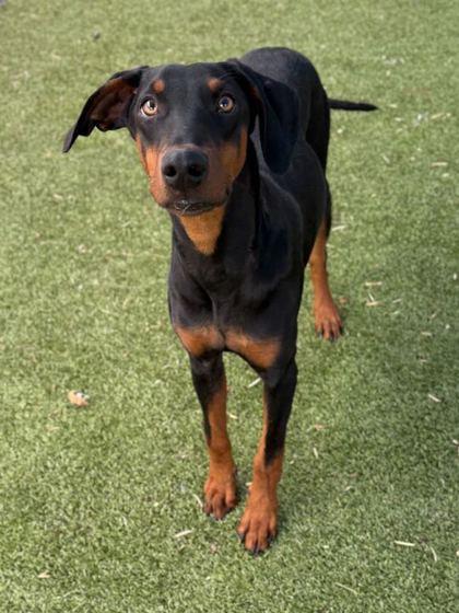 DJ Snackpack — thumbnail 3