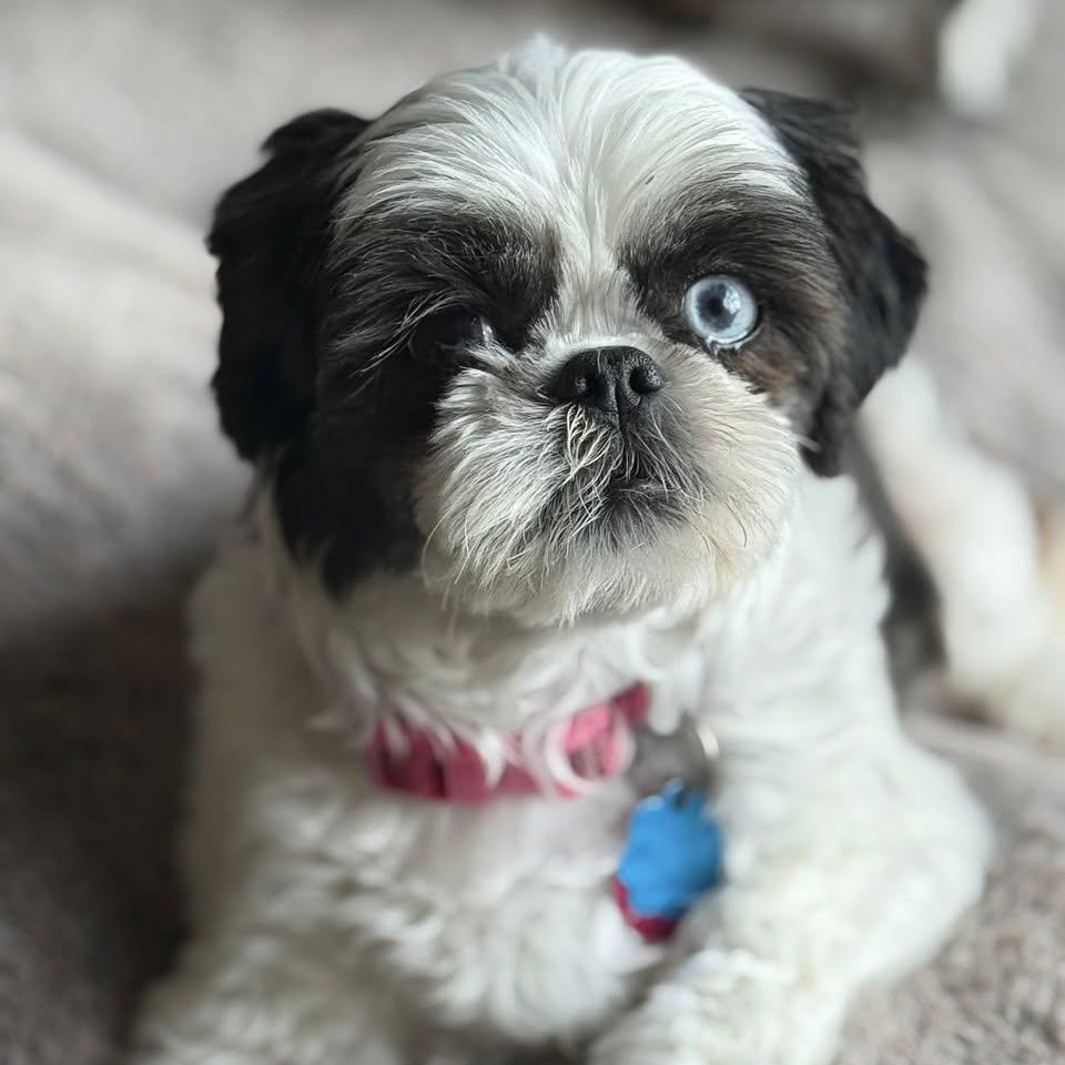 Zeta Turner
