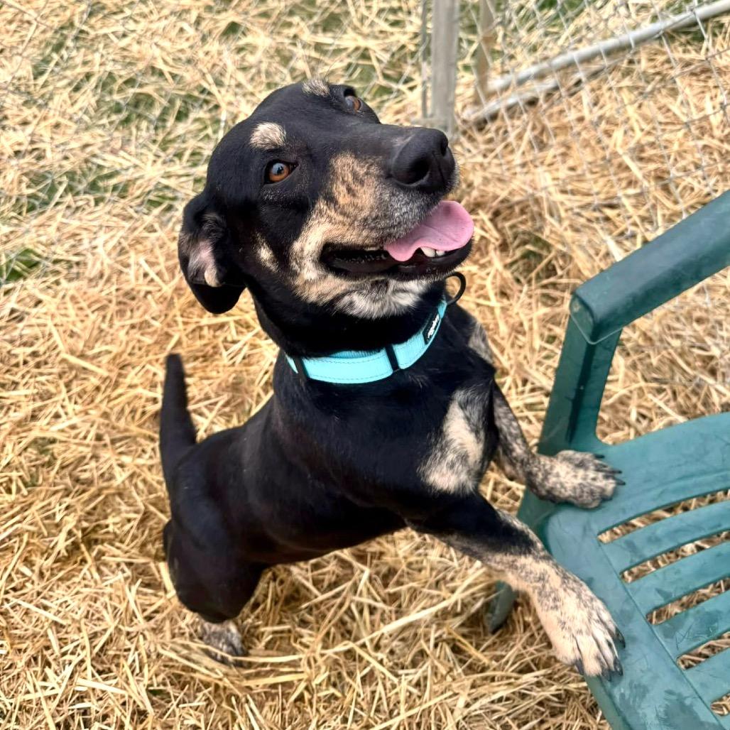 Sissy — thumbnail 5