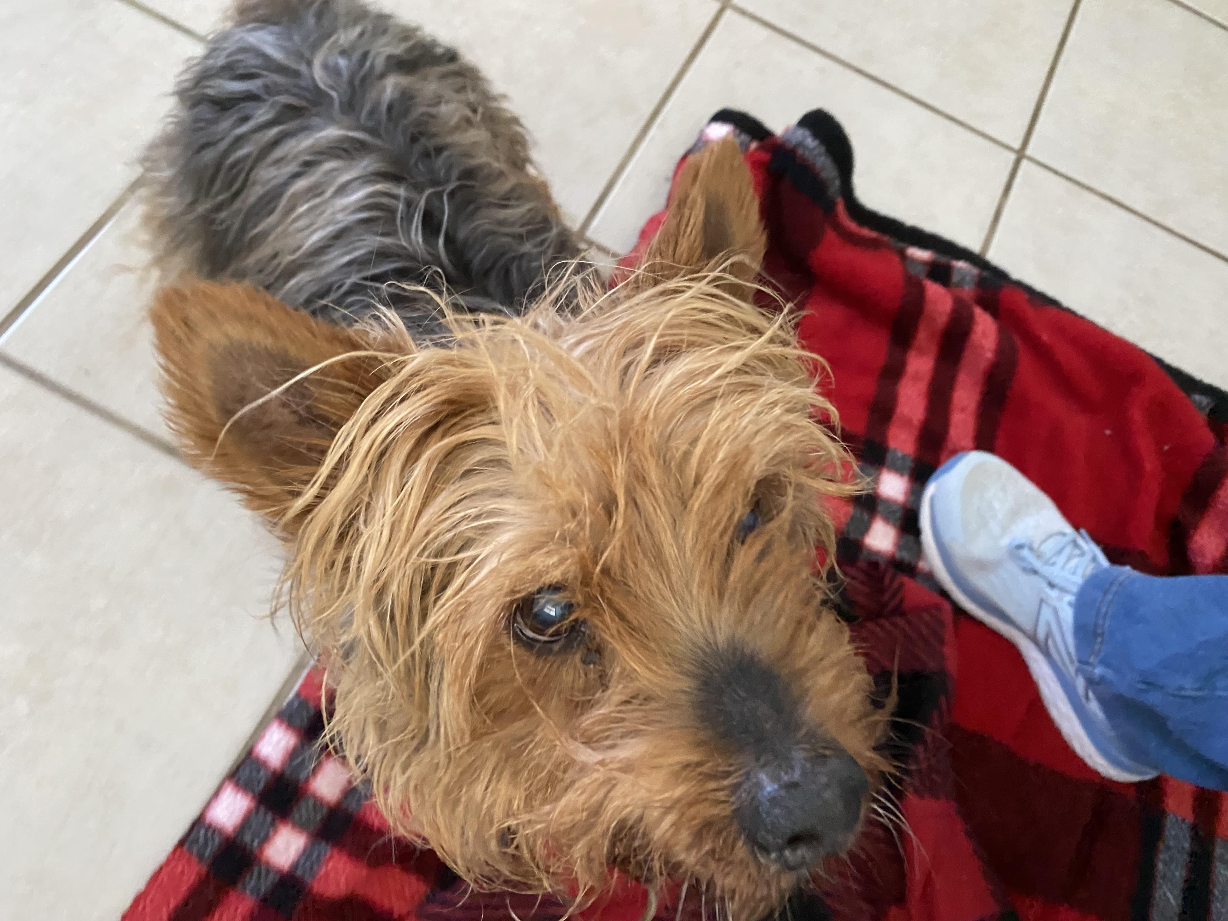Rupert