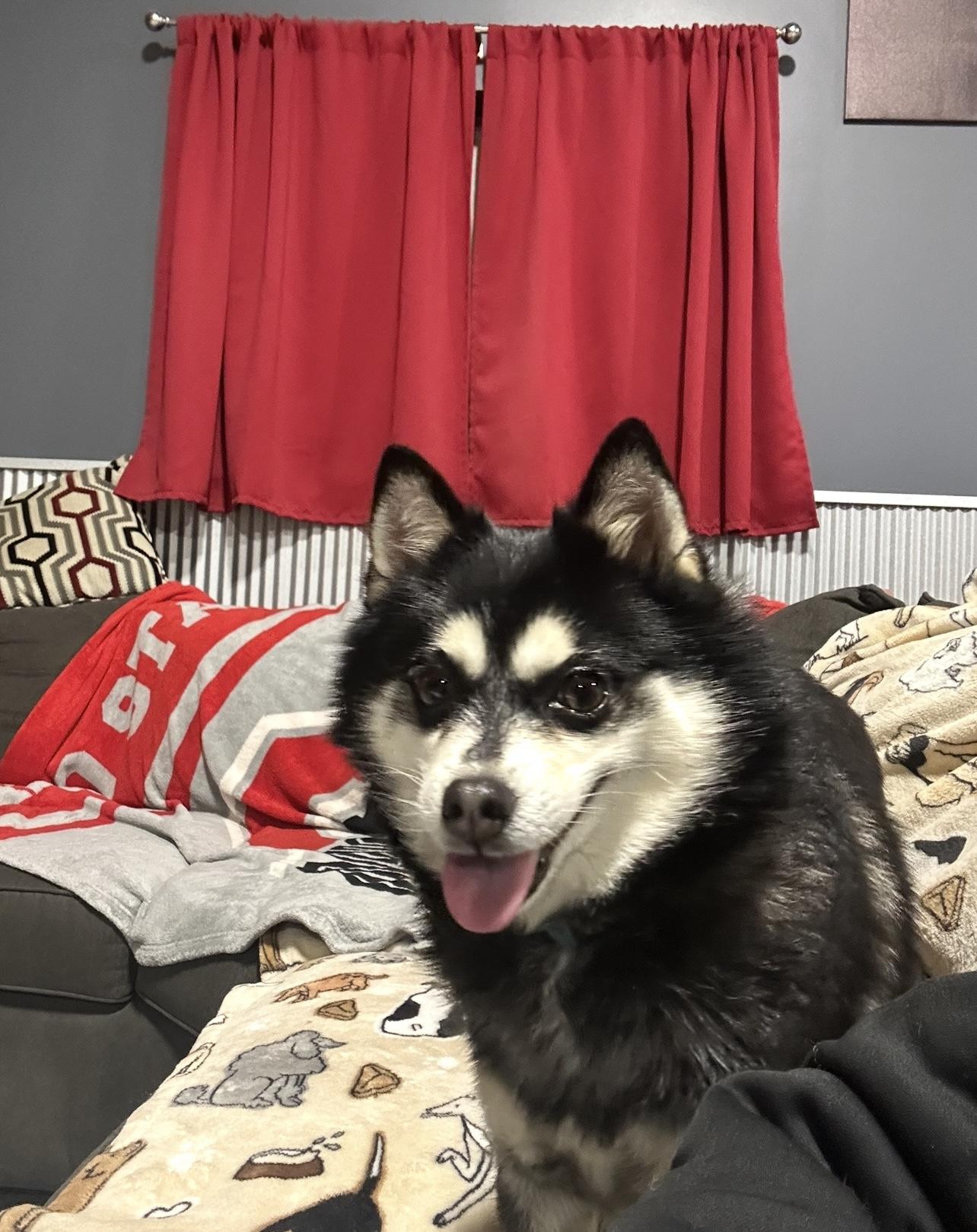 Little Thing.  Zuckie.