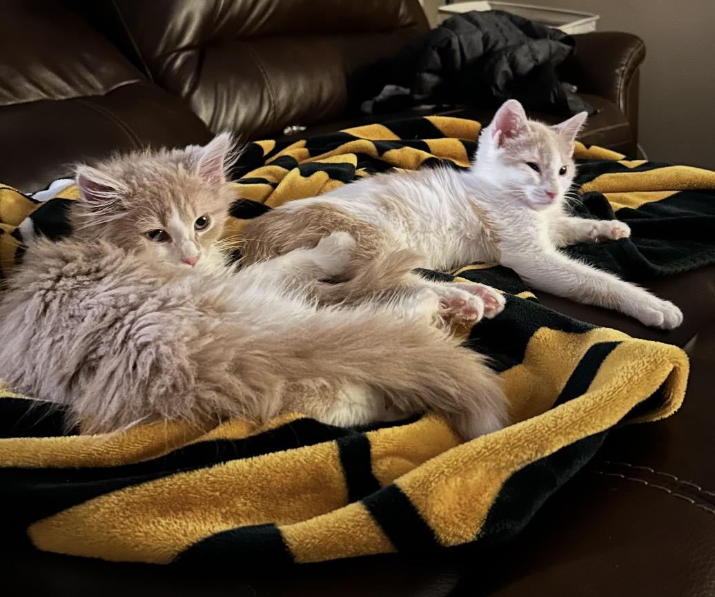 Francois thumbnail 4