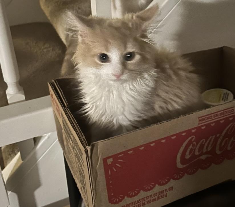 Francois thumbnail 5