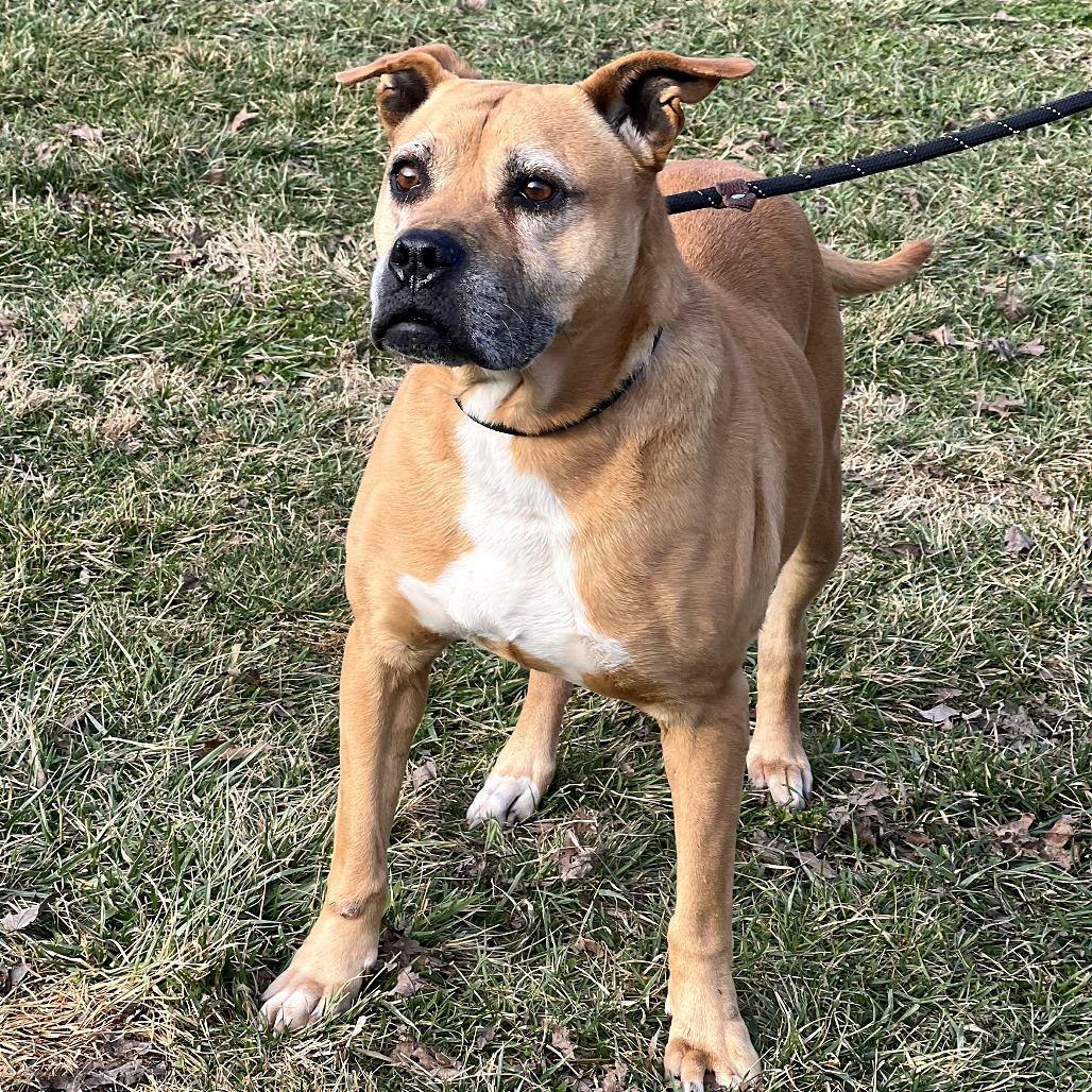 KiKi — thumbnail 3