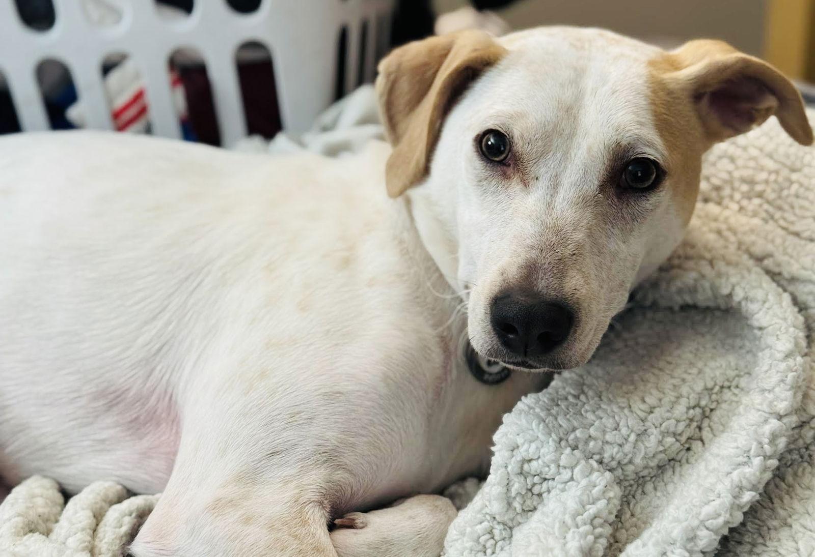 Kentucky thumbnail 2