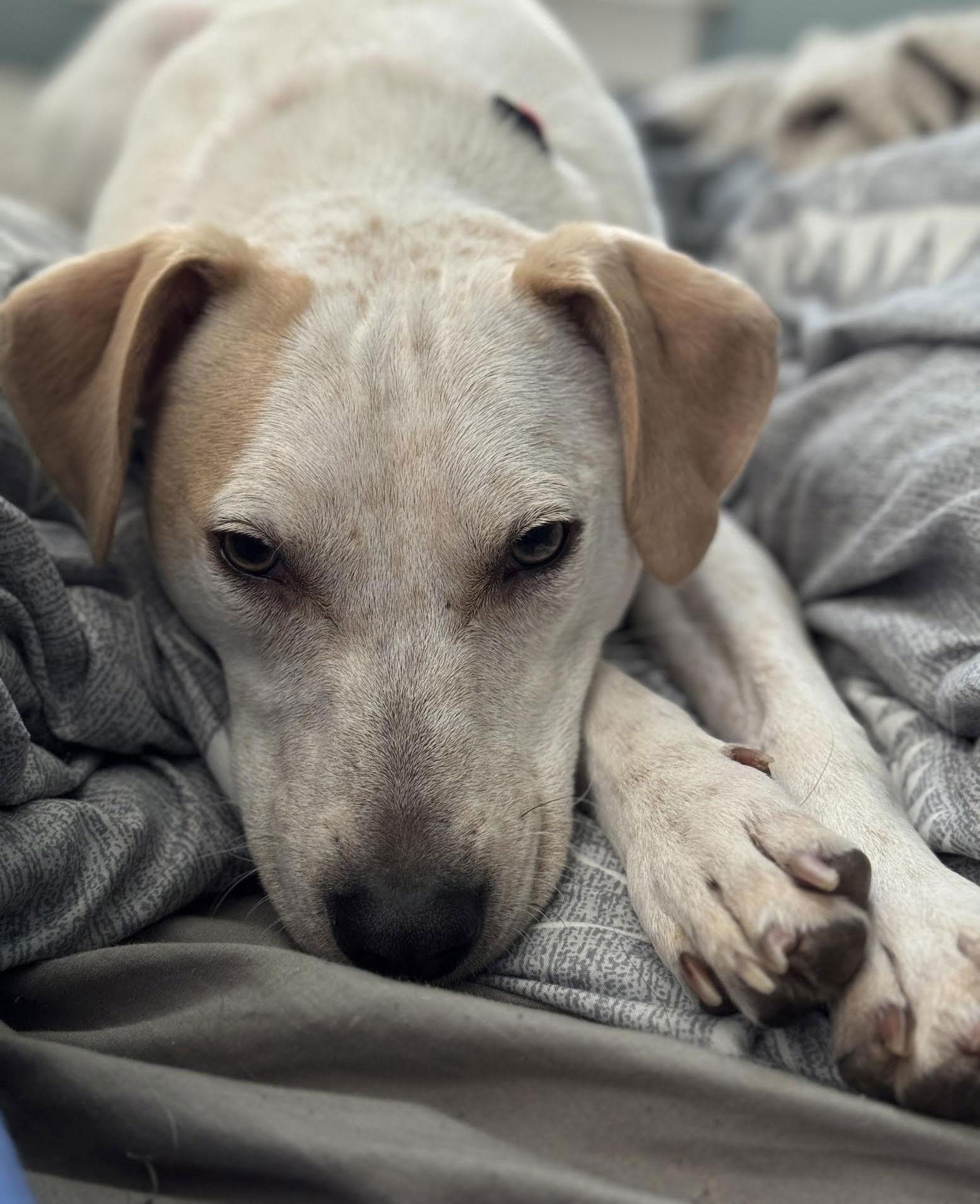 Kentucky thumbnail 3