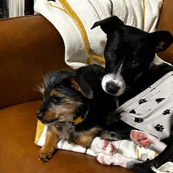 Cami Cuddling Cutie — thumbnail 2