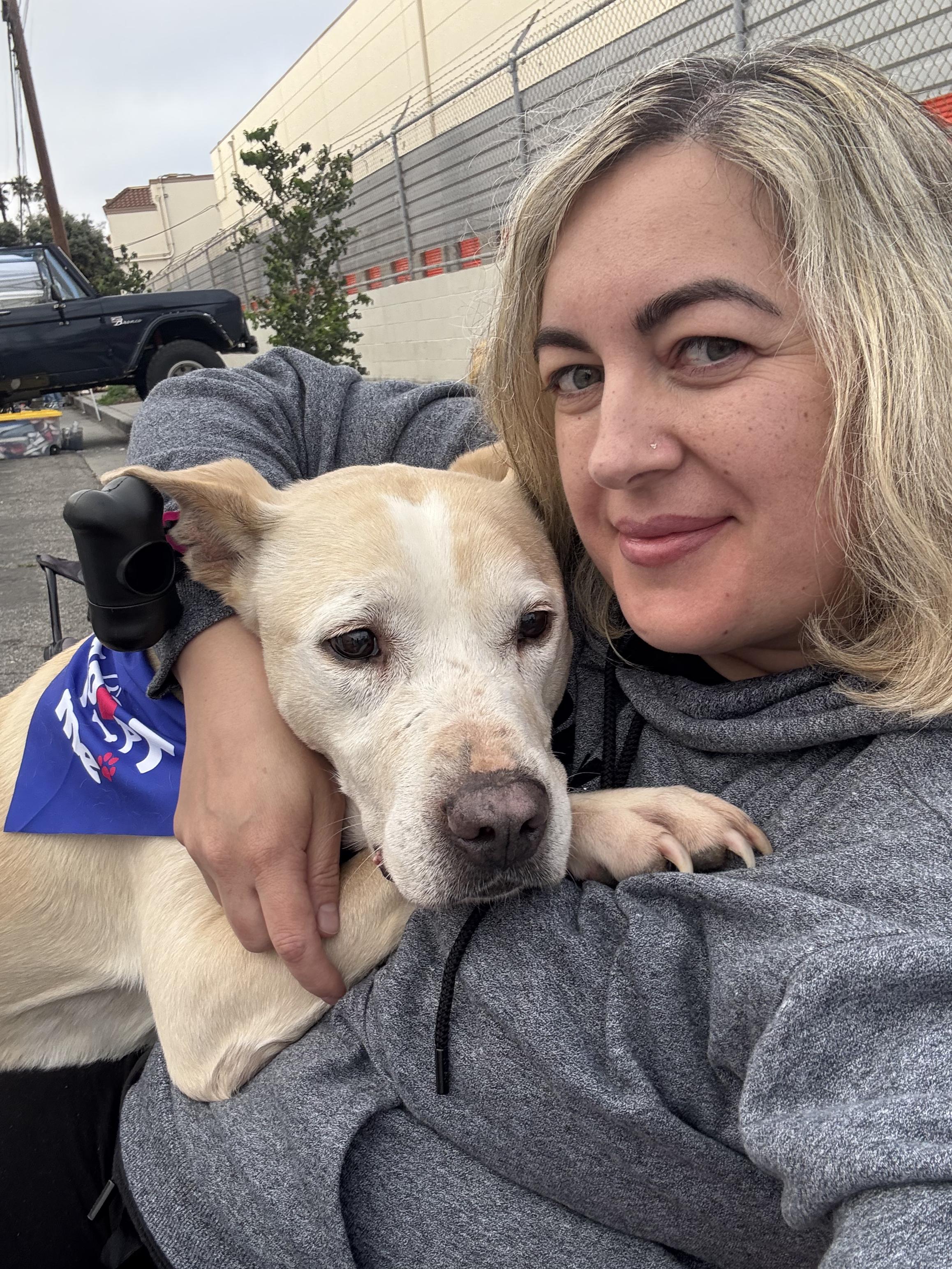 Enlarge Cozzie, a Adoptable mixed breed in Moorpark, CA image 6/6