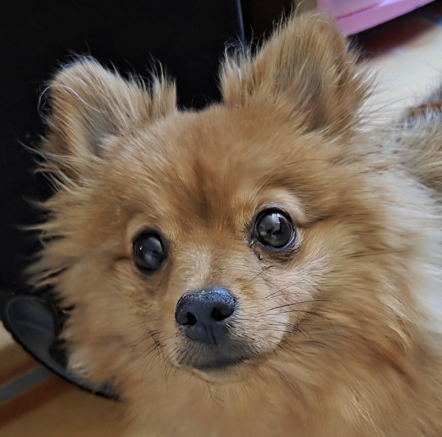 Alex thumbnail 3