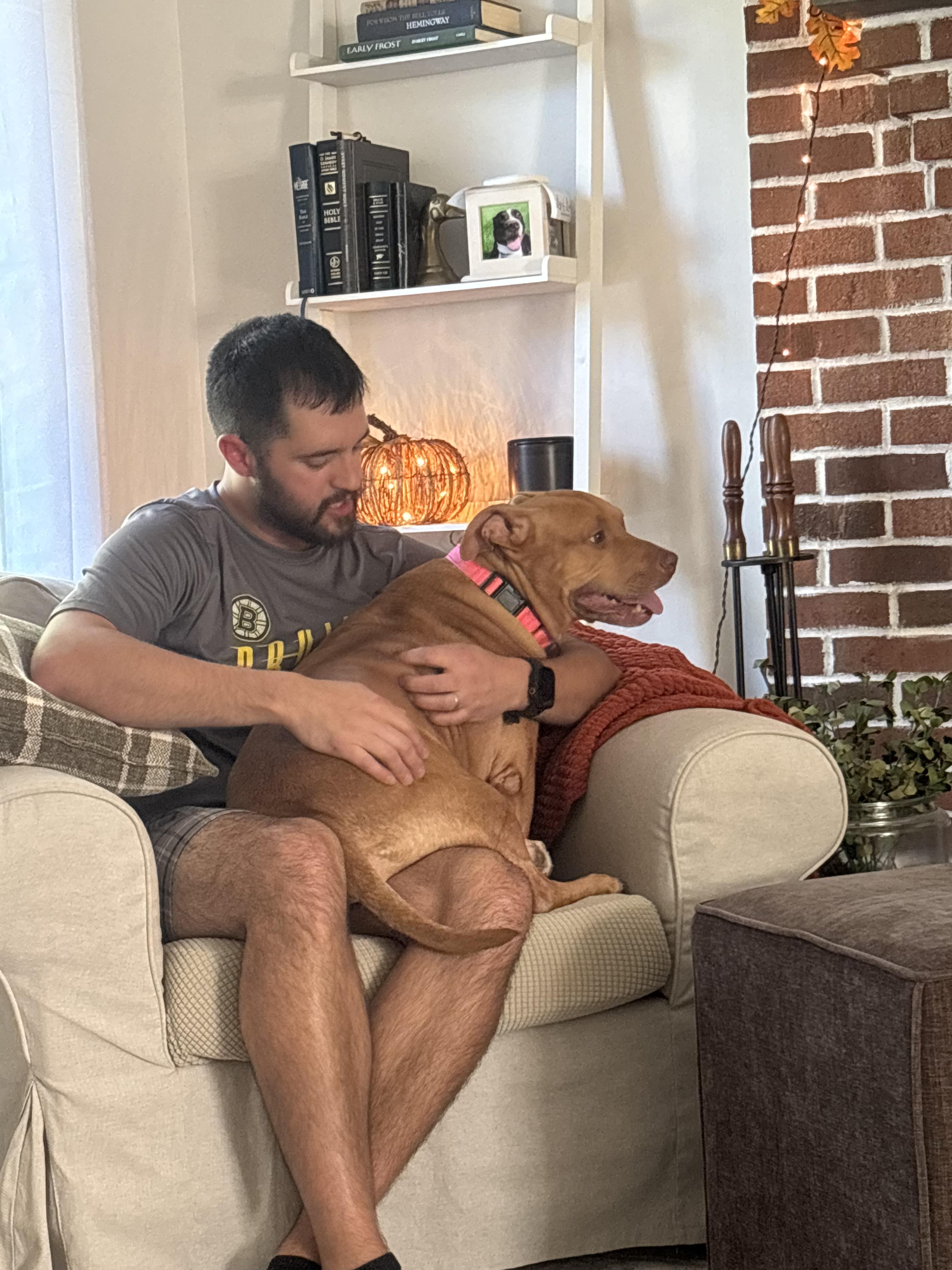 Aspen in NH! Come Meet our Adoptable Dogs Wednesday-Saturday. More info in Bio!