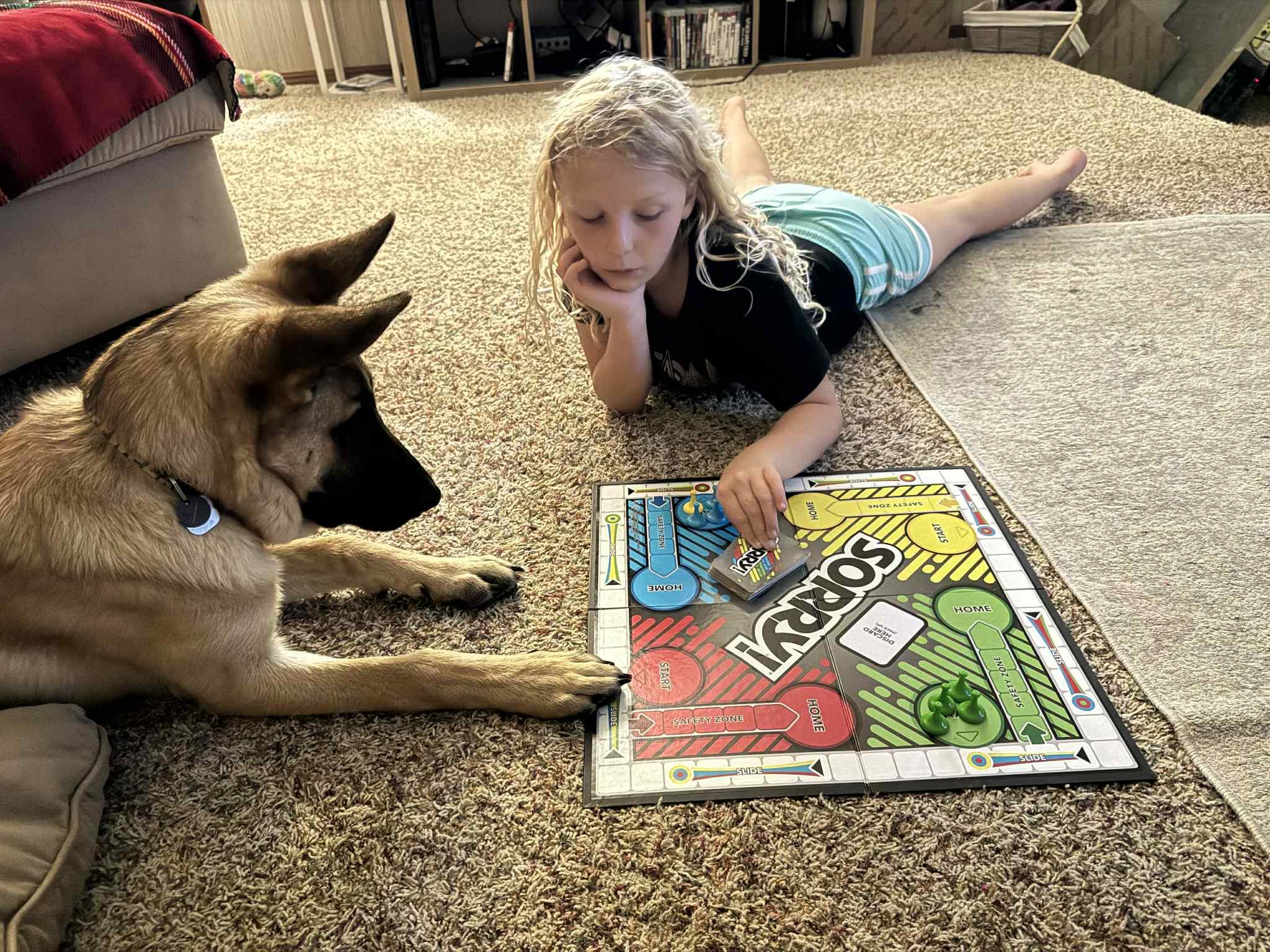 Enlarge Cyrus, a Adoptable mixed breed in Climax, MI image 3/6