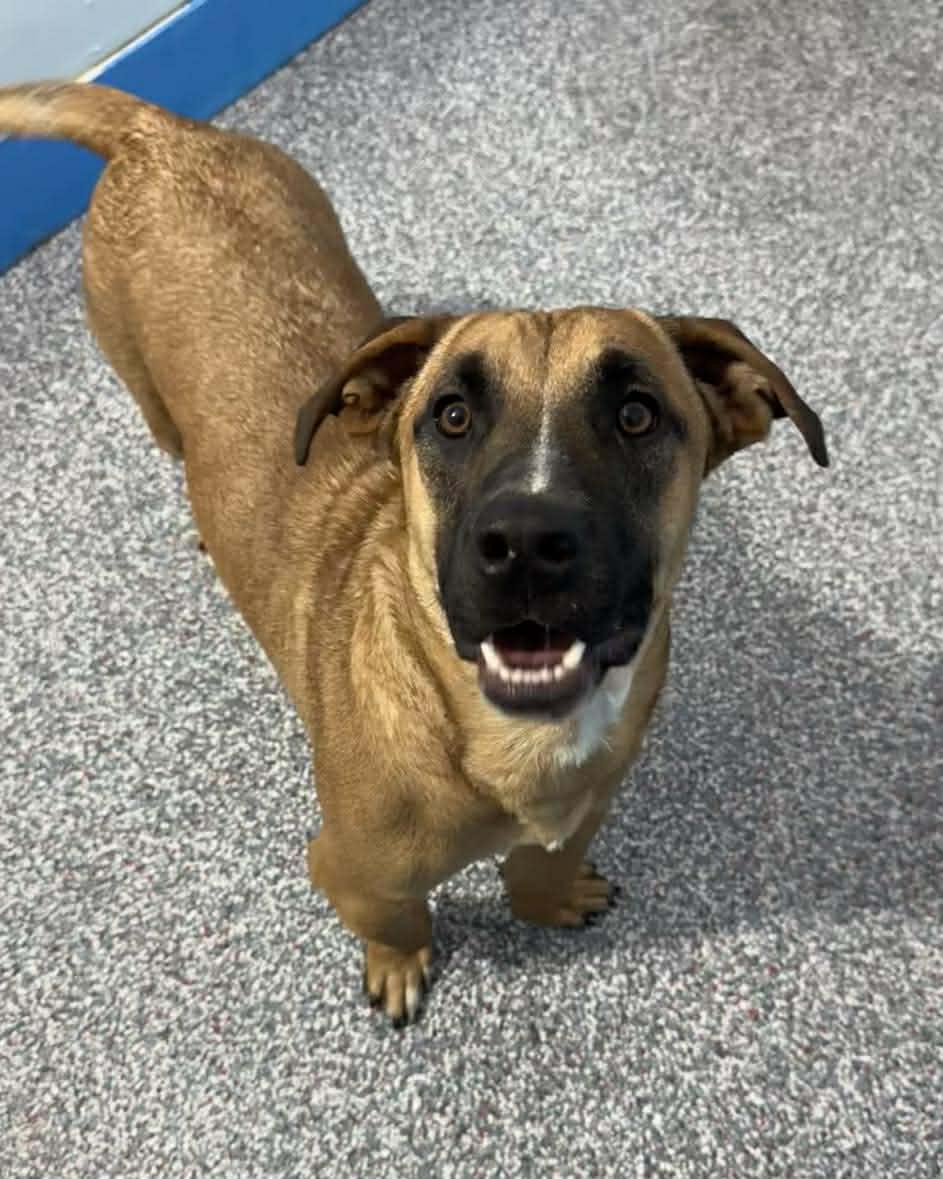 Leonardo thumbnail 2