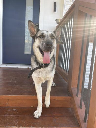 Duchess — thumbnail 2