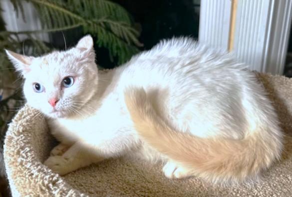 Bold Beanie! thumbnail 3