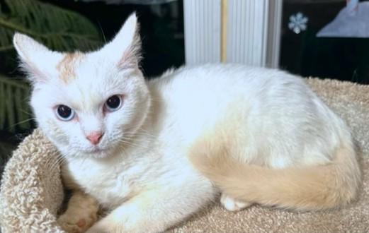 Bold Beanie! thumbnail 6