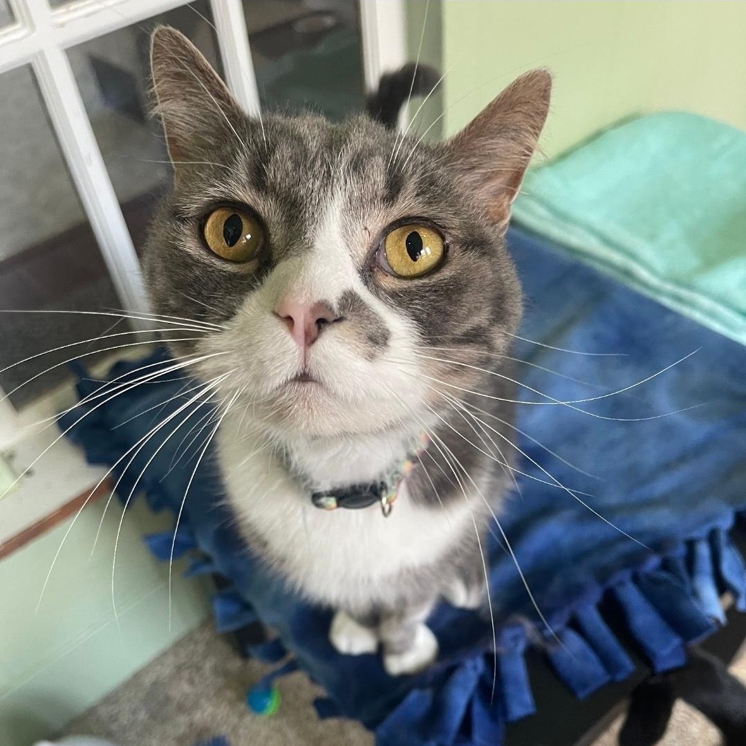 Legend - Bonded to Lucy