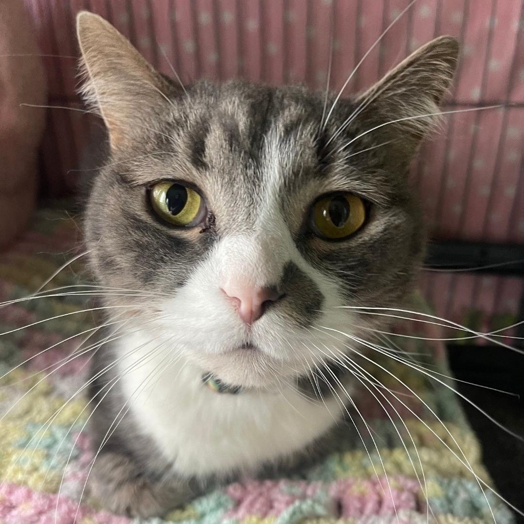 Legend - Bonded to Lucy