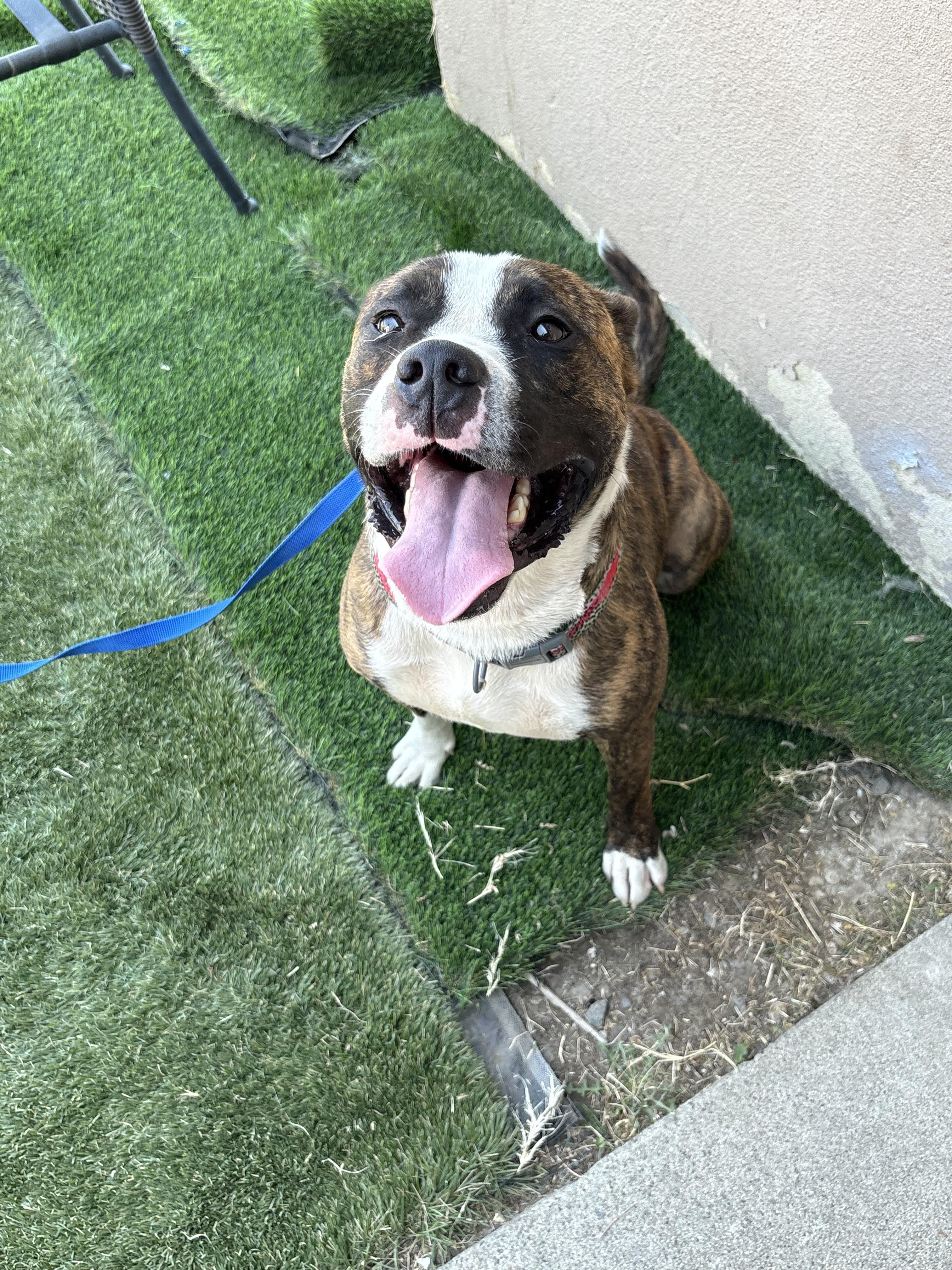 Duke