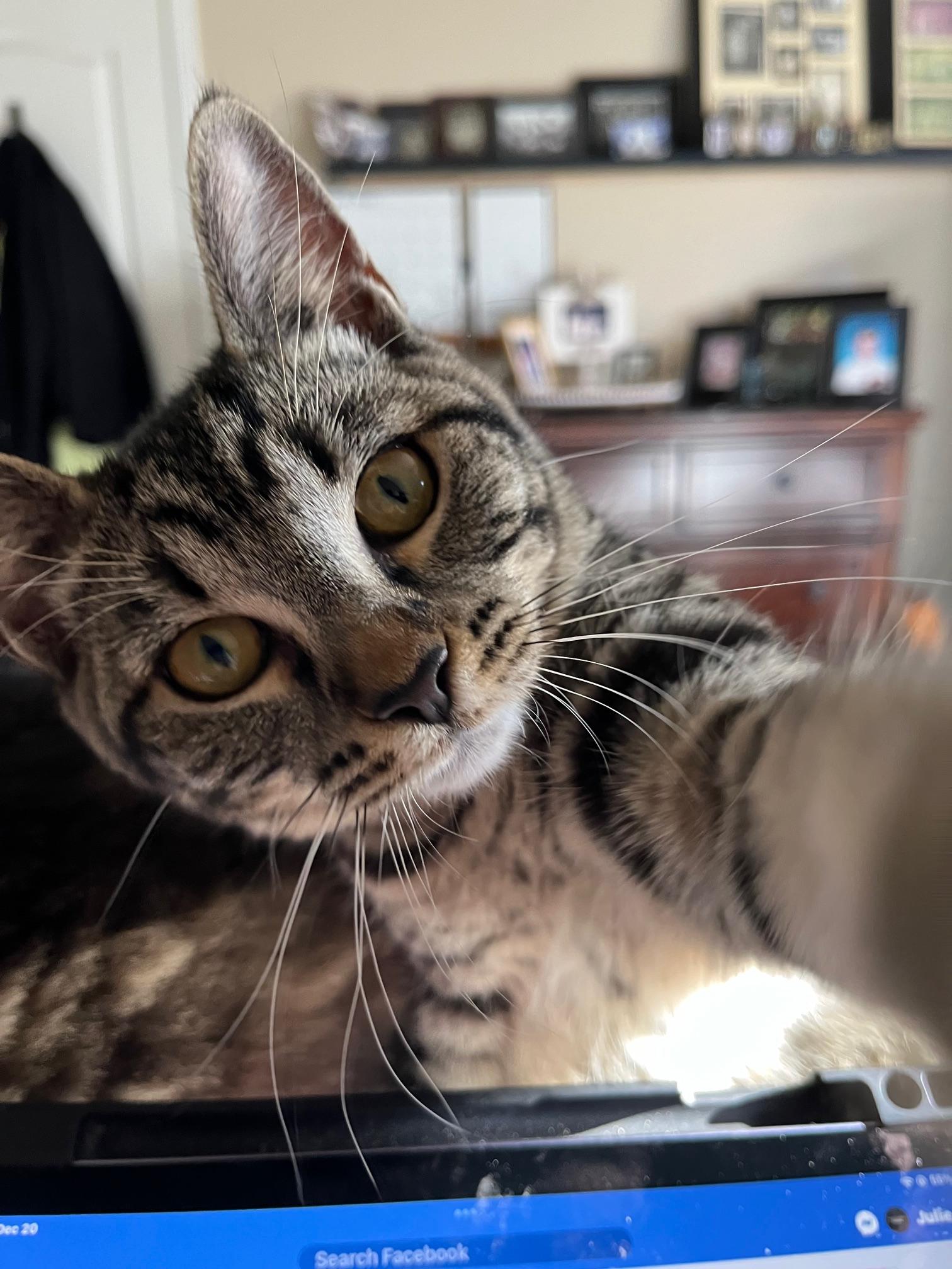 **COURTESY LISTING** Minnie