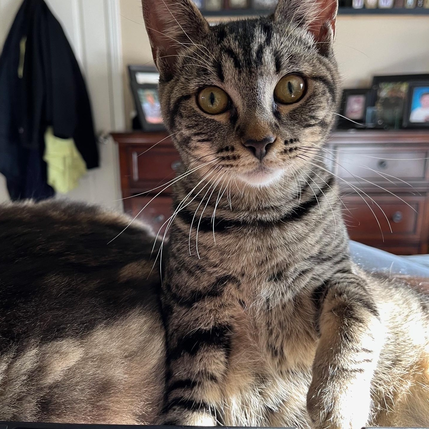 **COURTESY LISTING** Minnie