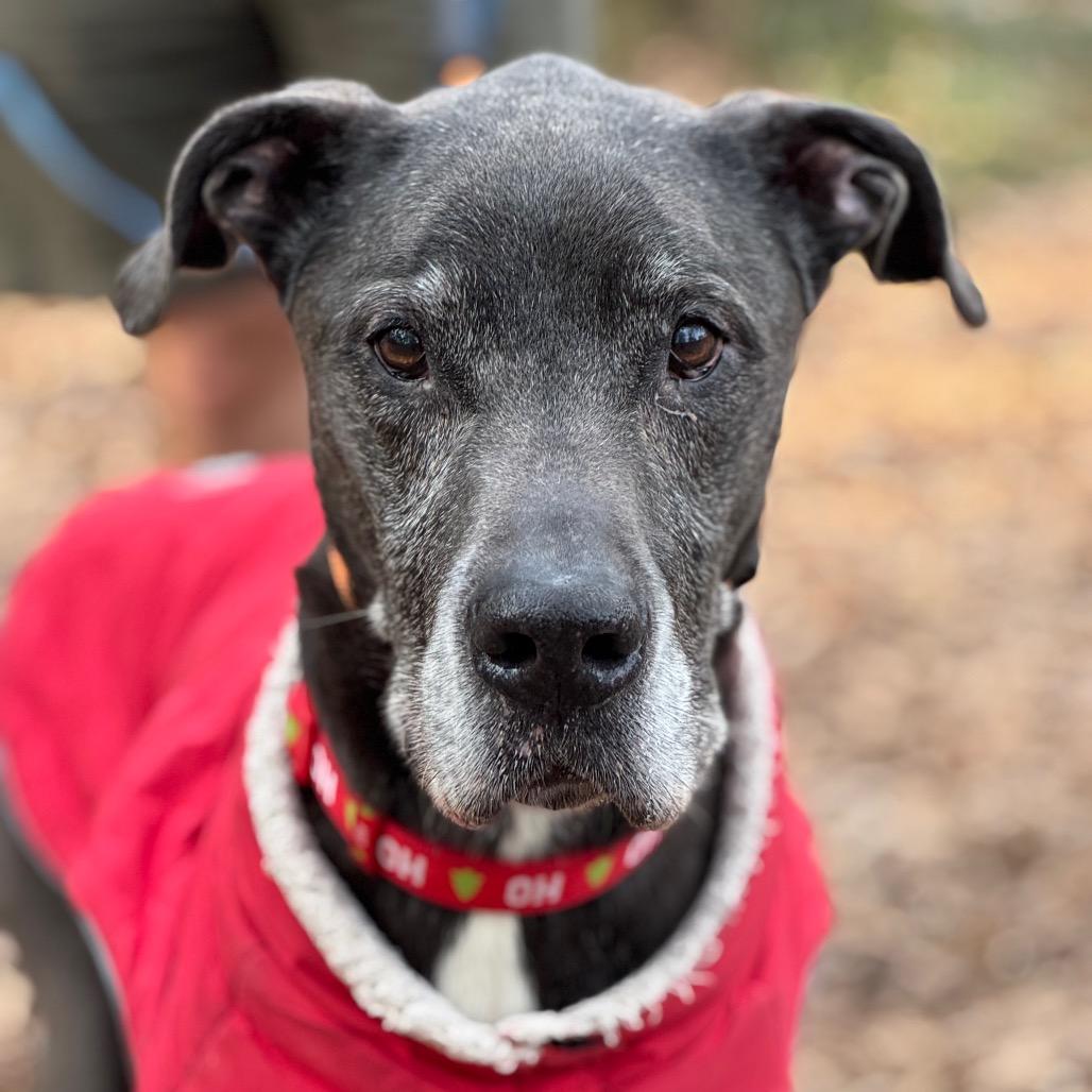 Ernest — thumbnail 2