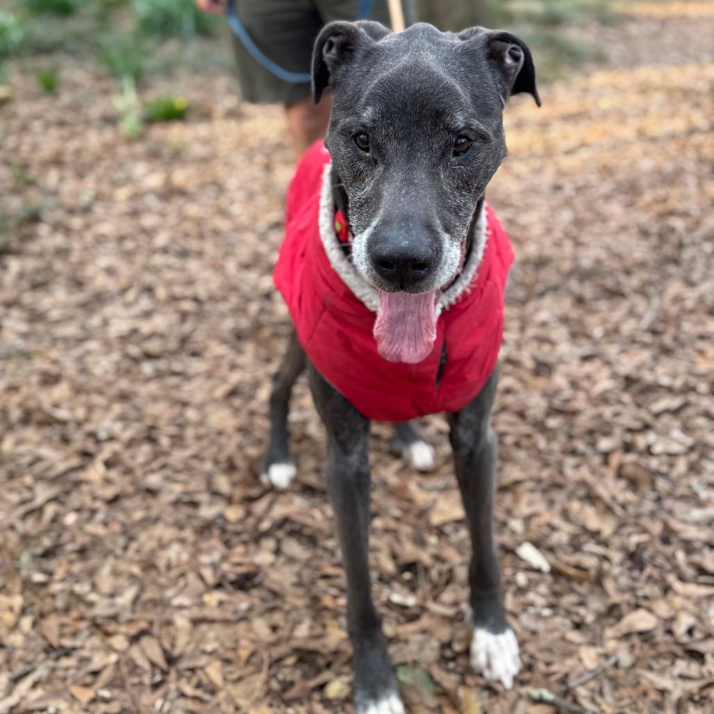 Ernest — thumbnail 3