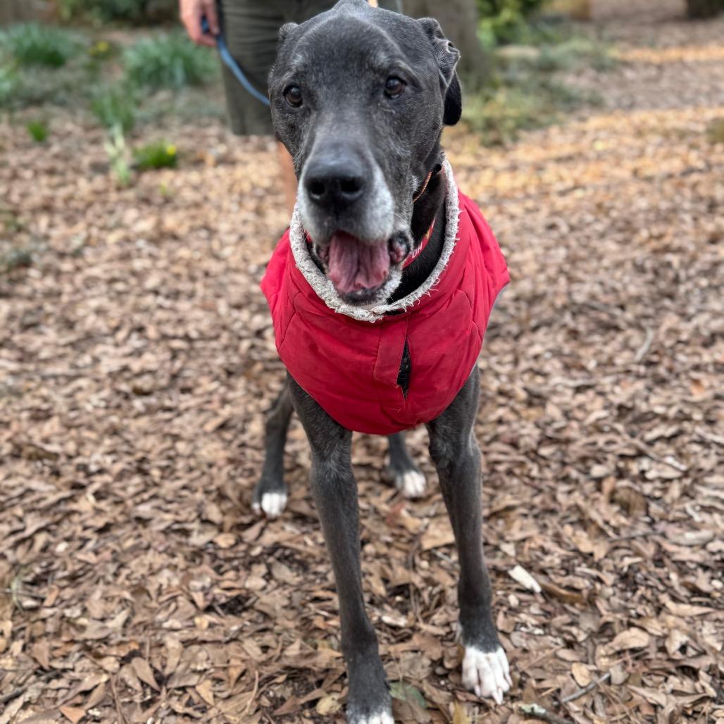 Ernest — thumbnail 5