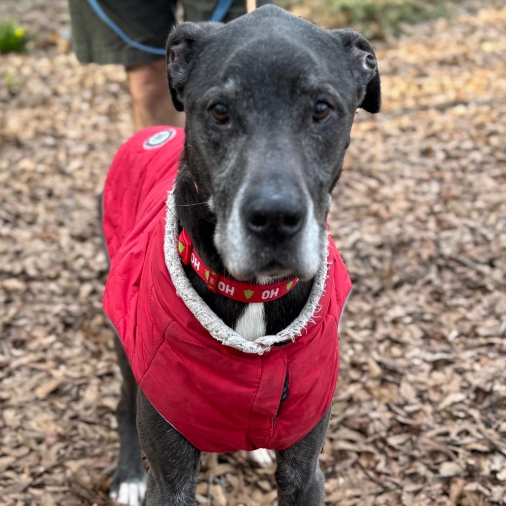 Ernest — thumbnail 6