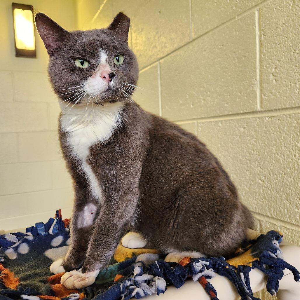 Zack — thumbnail 2