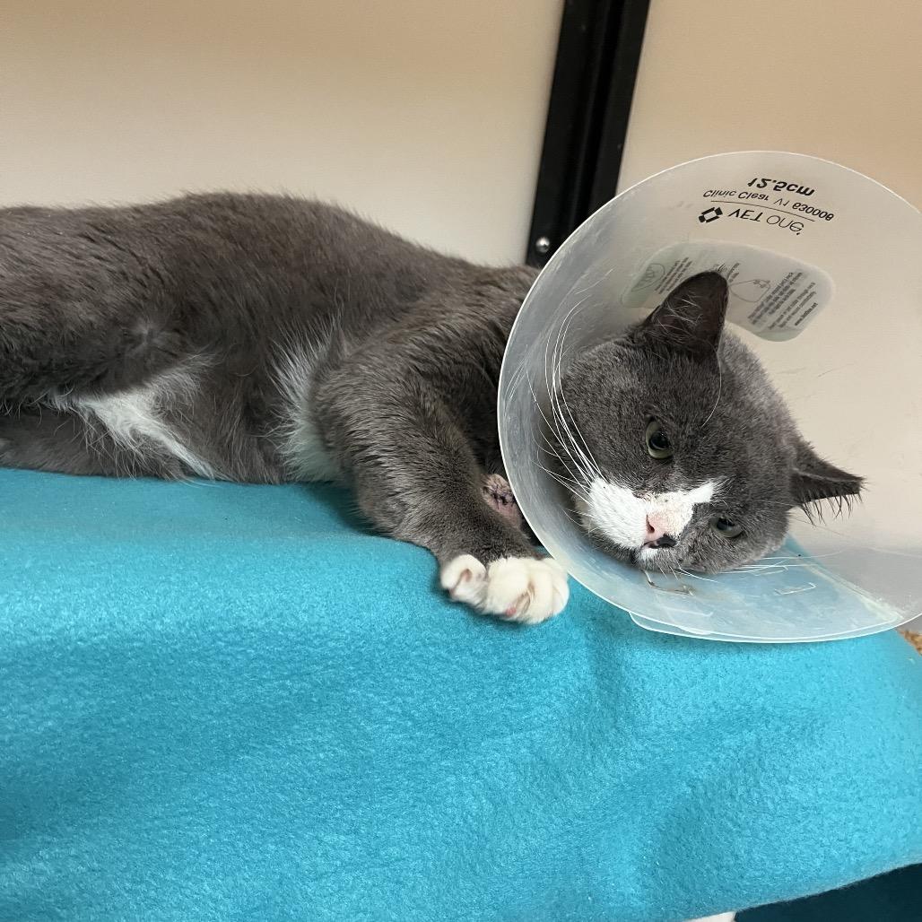 Zack — thumbnail 3