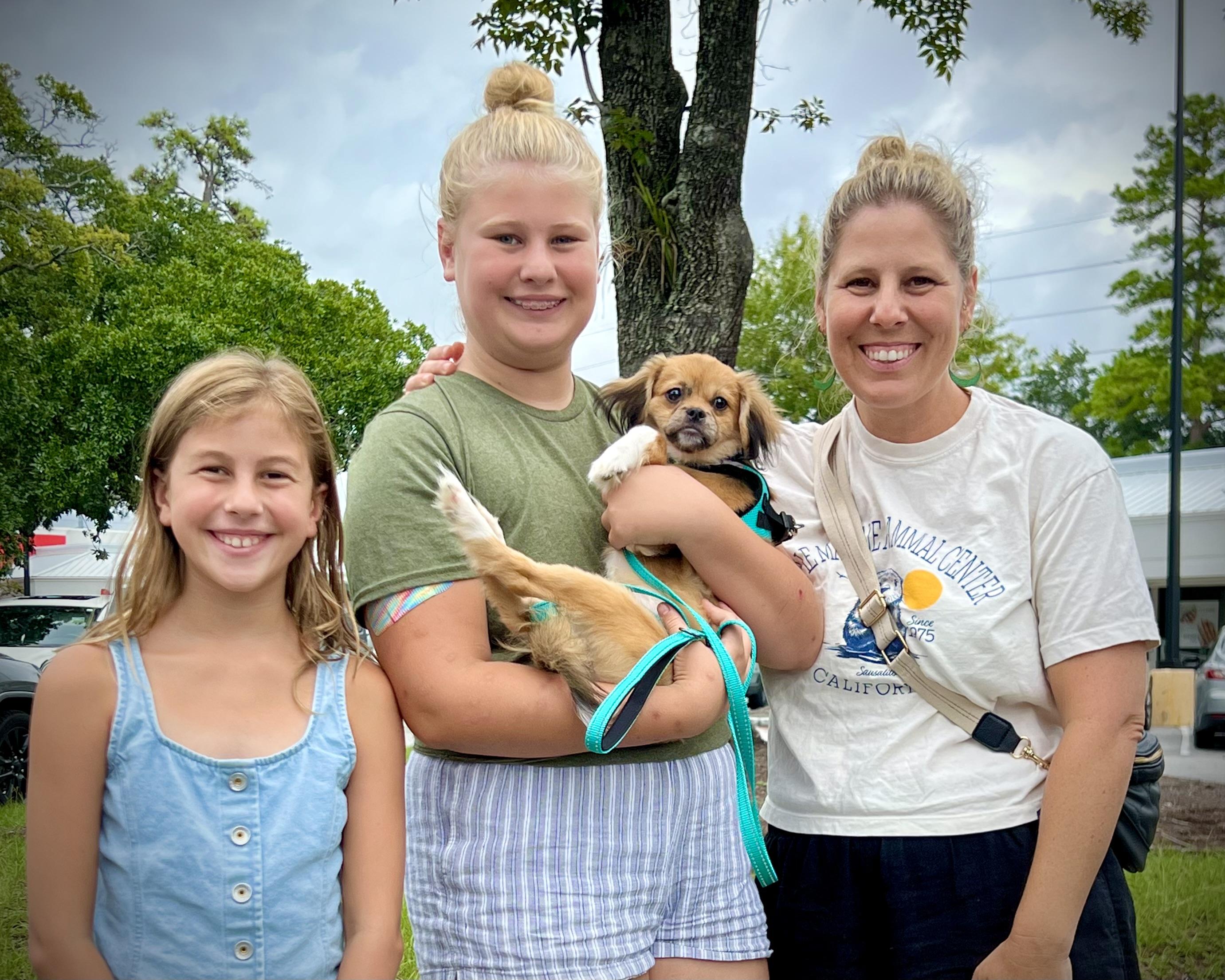 Enlarge Laverne, an adopted mixed breed in Mt Pleasant, SC image 6/6