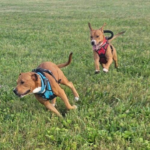 Millions thumbnail 5