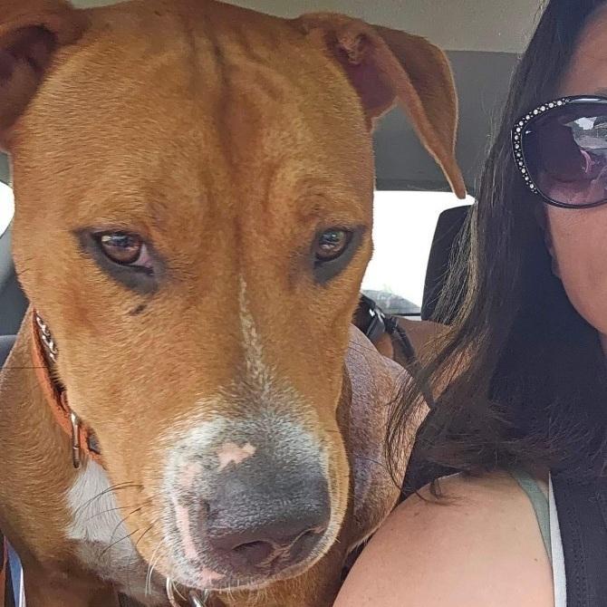 Millions thumbnail 7