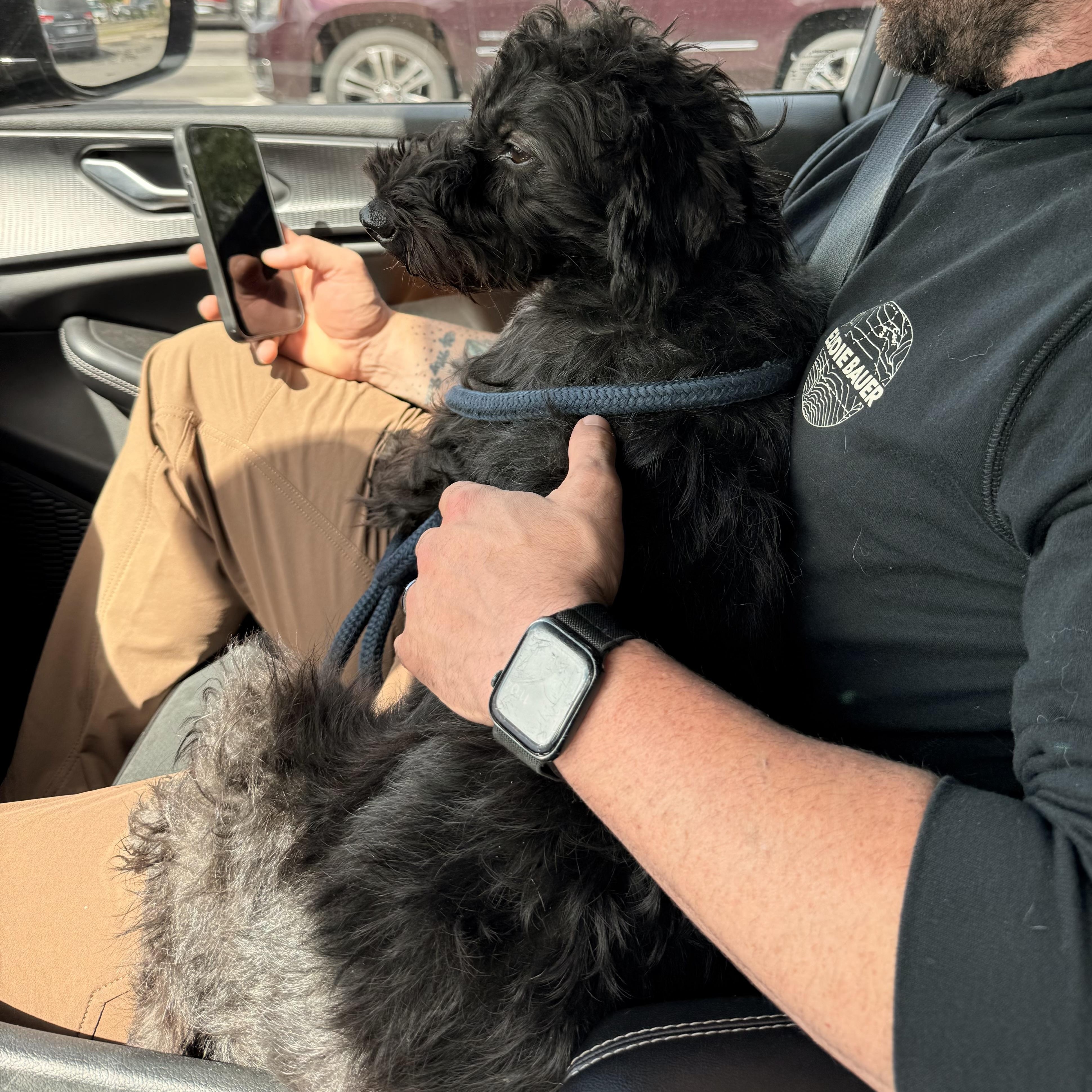 Enlarge Coco, an adopted mixed breed in Otis, OR image 4/4