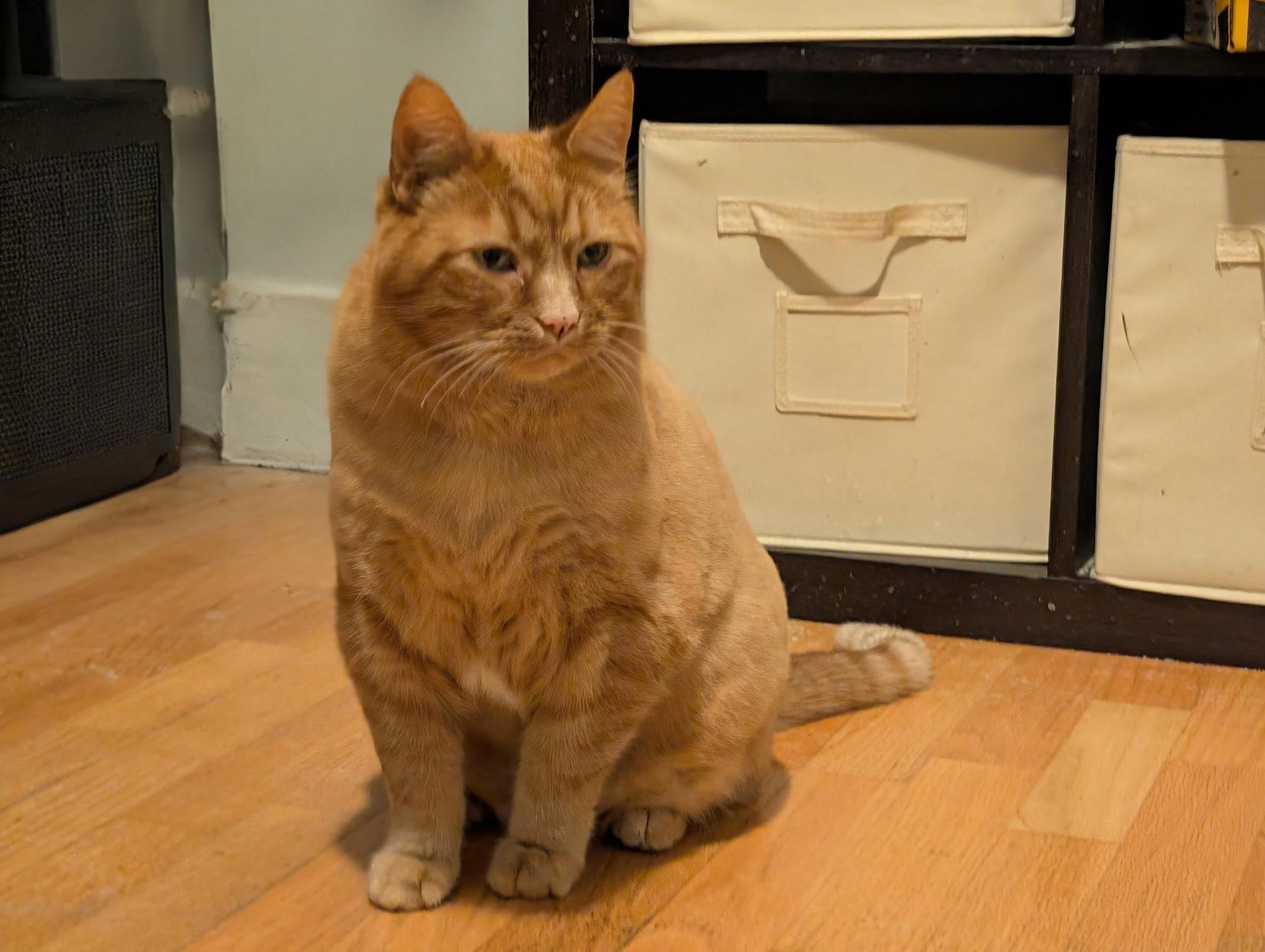 Ben