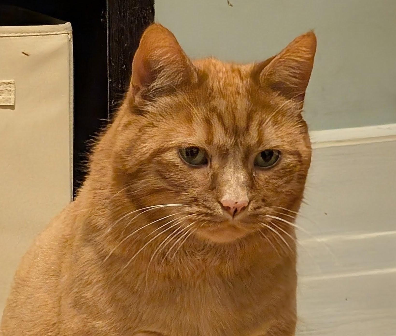 Ben