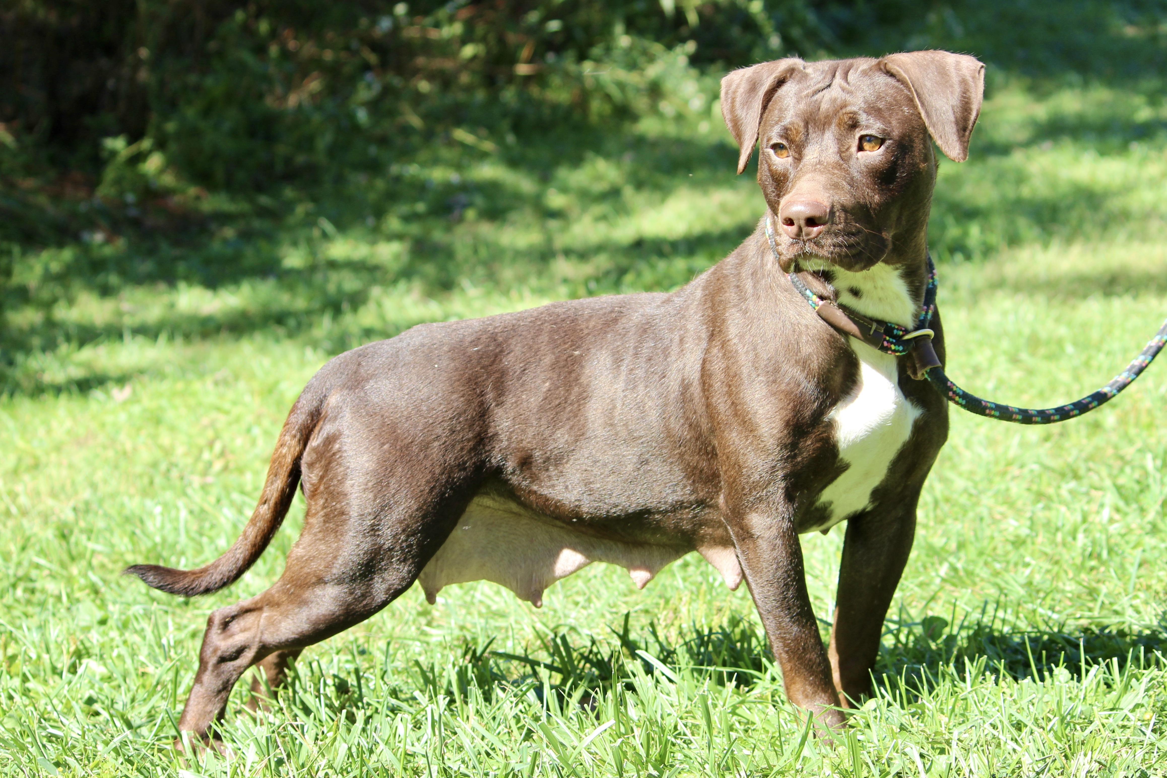 MADDIE — thumbnail 2