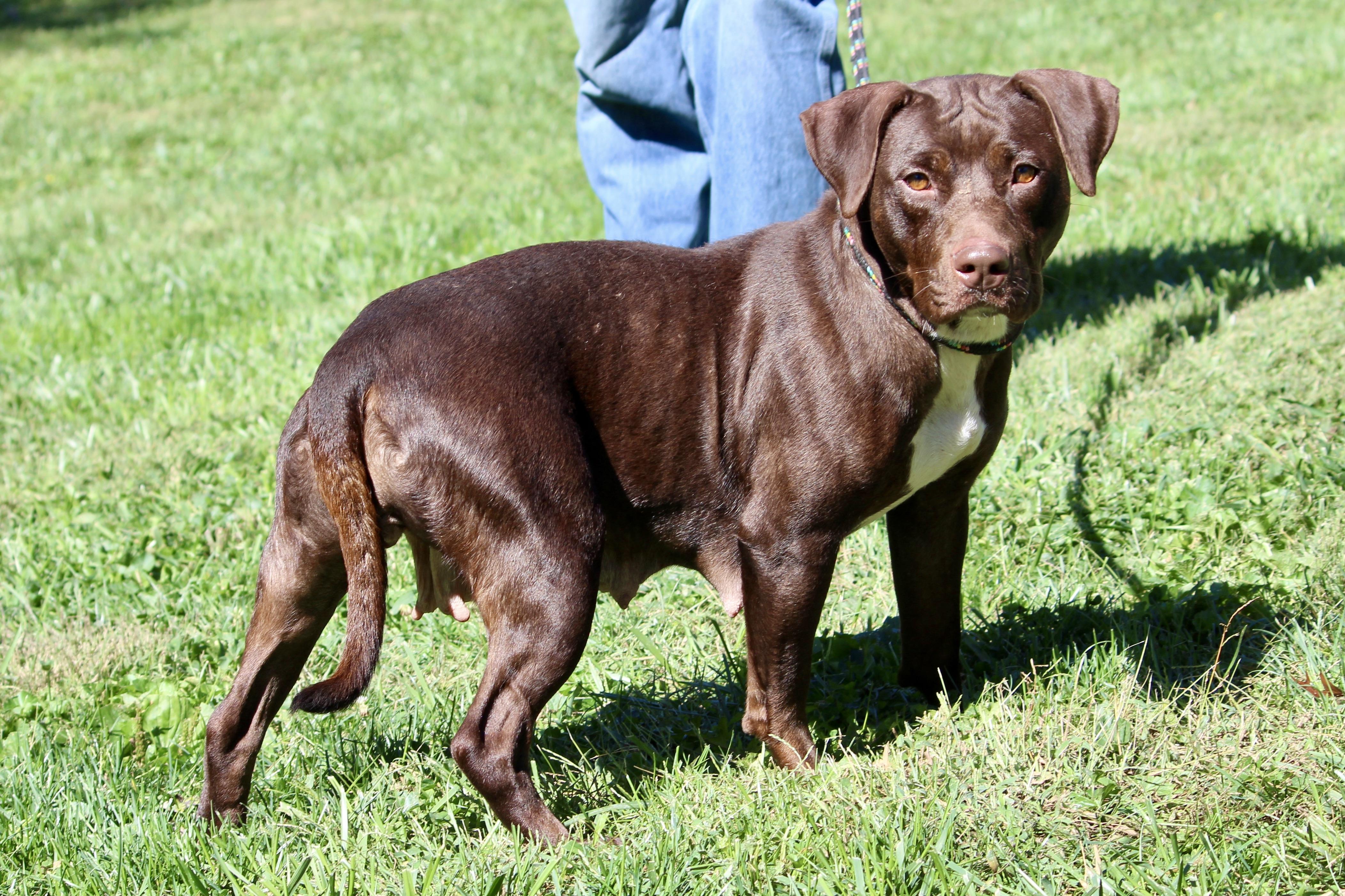 MADDIE — thumbnail 3