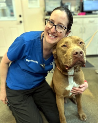 Aries, a Adoptable mixed breed in Santa Paula, CA image 4/6