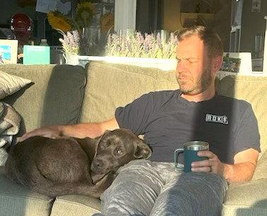 Enlarge Easton aka Moose, a Adopted Chocolate Labrador Retriever in Mount Laurel, NJ image 3/3