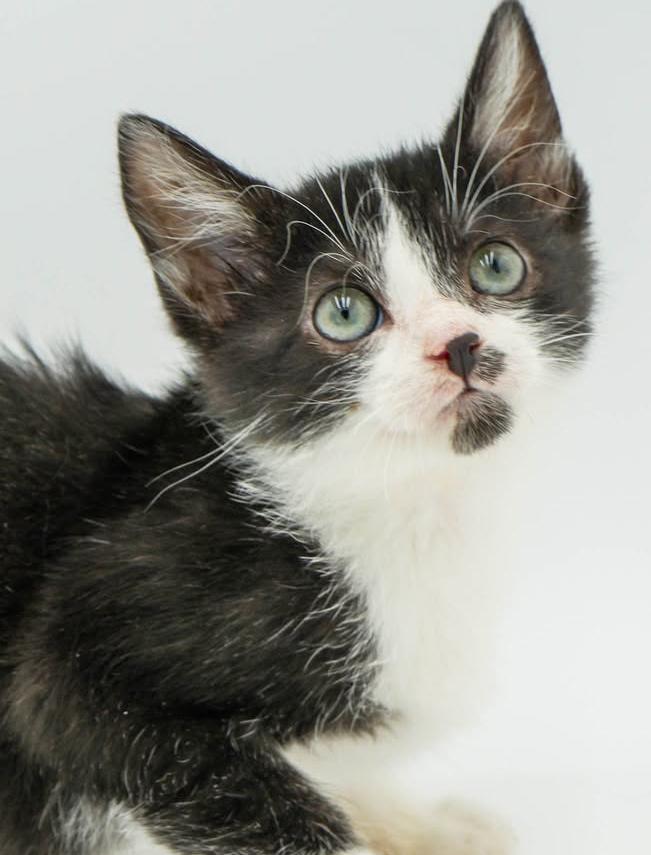 Lori is our exotic lover! BLUE EYES too!