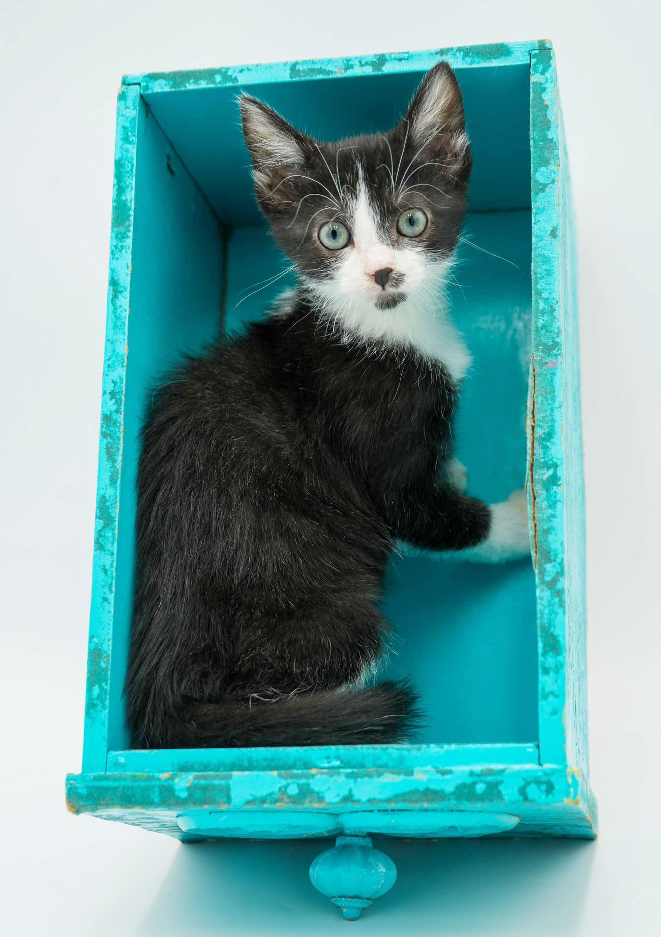 Lori is our exotic lover! BLUE EYES too!