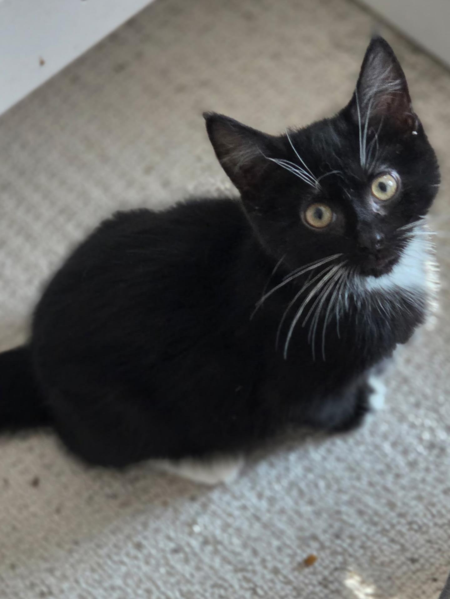 Max