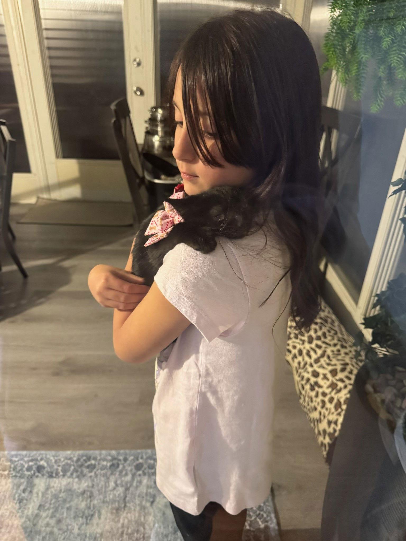 Truffles, a Adopted mixed breed in Ringwood, NJ image 3/3