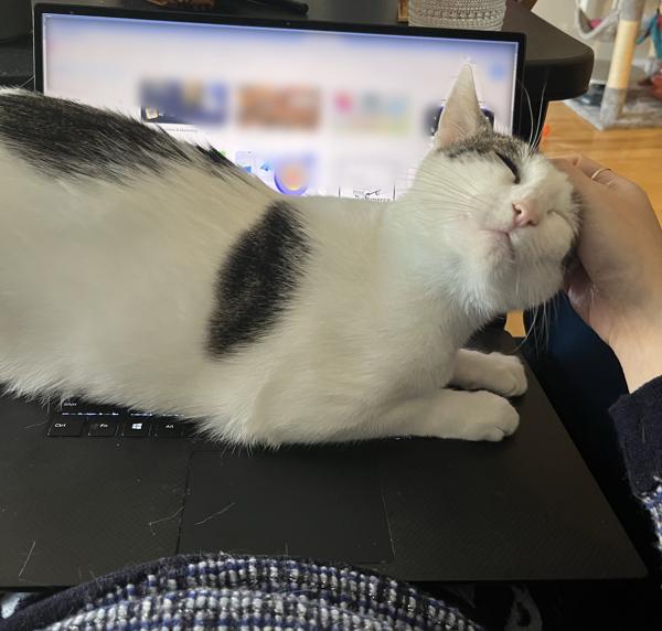 Kira — thumbnail 4