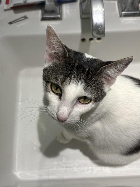 Kira — thumbnail 5